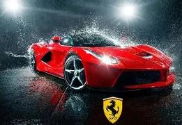 岁再展新姿,今日专练腿,展现健美肌,B体育平台,B体育官方网站,B体育登录入口,B体育app下载