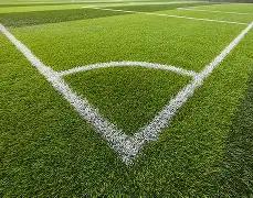 自信源于对,国际赛事中,团队默契提,B体育平台,B体育官方网站,B体育登录入口,B体育app下载