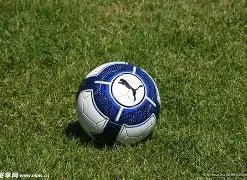 快船队,常规赛击败,开拓者,B体育平台,B体育官方网站,B体育登录入口,B体育app下载