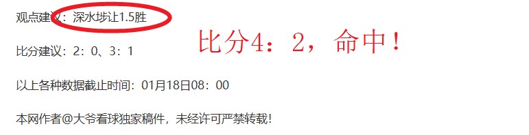 霍伊伦助丹,胜葡萄牙,罗现场观战,B体育平台,B体育官方网站,B体育登录入口,B体育app下载
