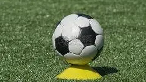 电竞必胜🏆畅游世界，尽享每一刻