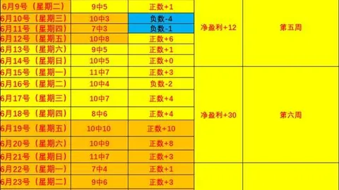 体育 204313 0